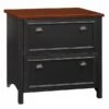 Bush Furniture Fairview 2 Drawer Lateral File Cabinet, Antique Black And Hansen Cherry (WC53984T)