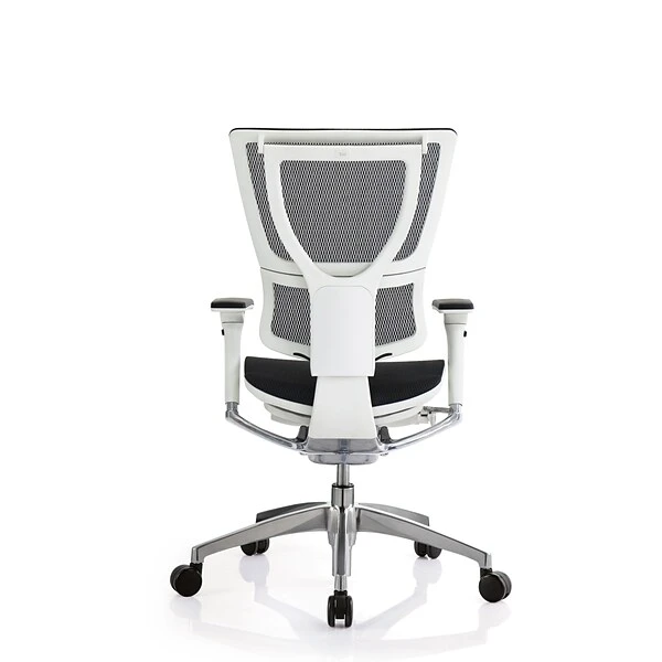 Raynor Eurotech IOO Series Mid-Back Managers Chair, Mesh, Black With White Frame - Image 5
