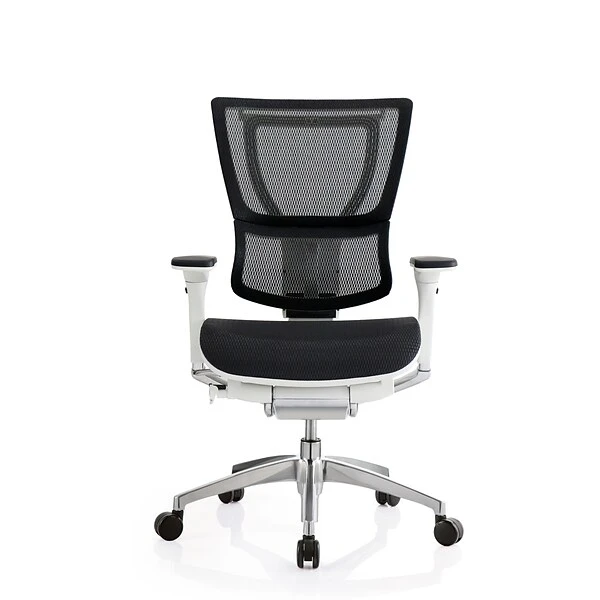 Raynor Eurotech IOO Series Mid-Back Managers Chair, Mesh, Black With White Frame - Image 4