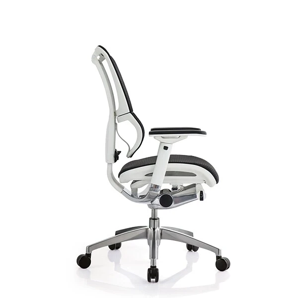 Raynor Eurotech IOO Series Mid-Back Managers Chair, Mesh, Black With White Frame - Image 6