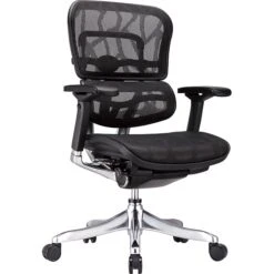 Raynor Eurotech Ergohuman Mid Back Executive Chair, Patterned Mesh, Black