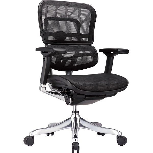 Raynor Eurotech Ergohuman Mid Back Executive Chair, Patterned Mesh, Black