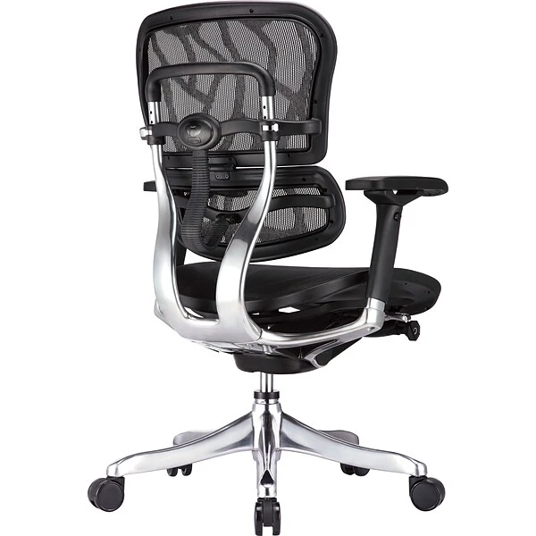 Raynor Eurotech Ergohuman Mid Back Executive Chair, Patterned Mesh, Black - Image 2