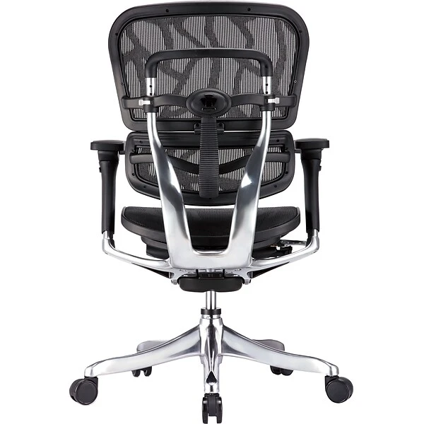 Raynor Eurotech Ergohuman Mid Back Executive Chair, Patterned Mesh, Black - Image 3