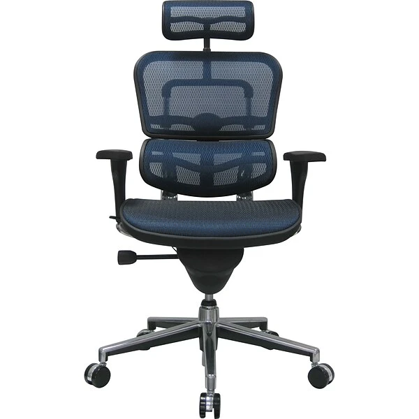 Raynor Eurotech Ergo Human High Back Managers Chair, With Headrest And Mesh, Blue - Image 3