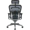 Raynor Eurotech Ergo Human High Back Managers Chair, With Headrest And Mesh, Blue