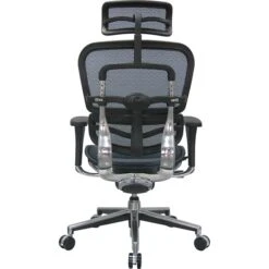 Raynor Eurotech Ergo Human High Back Managers Chair, With Headrest And Mesh, Blue