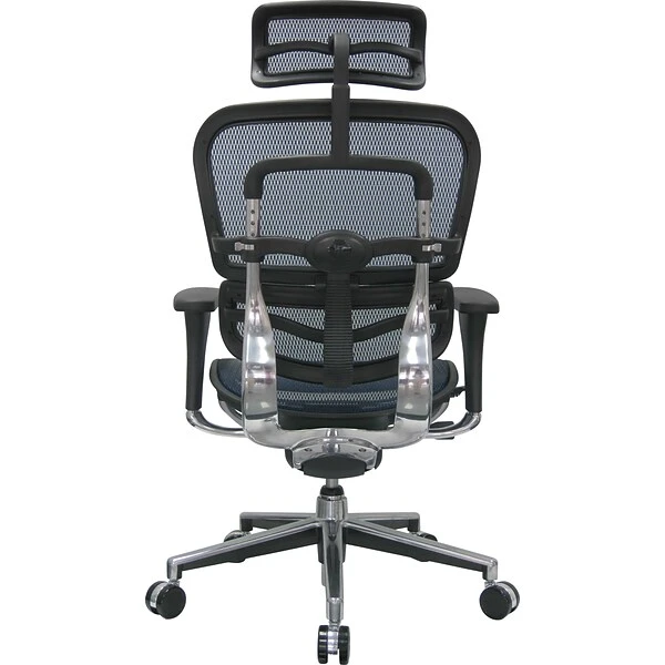 Raynor Eurotech Ergo Human High Back Managers Chair, With Headrest And Mesh, Blue