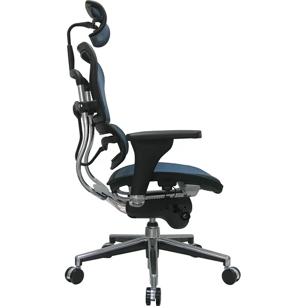 Raynor Eurotech Ergo Human High Back Managers Chair, With Headrest And Mesh, Blue - Image 2