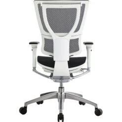 Raynor Eurotech IOO Series Mid-Back Managers Chair, Mesh, Black With White Frame