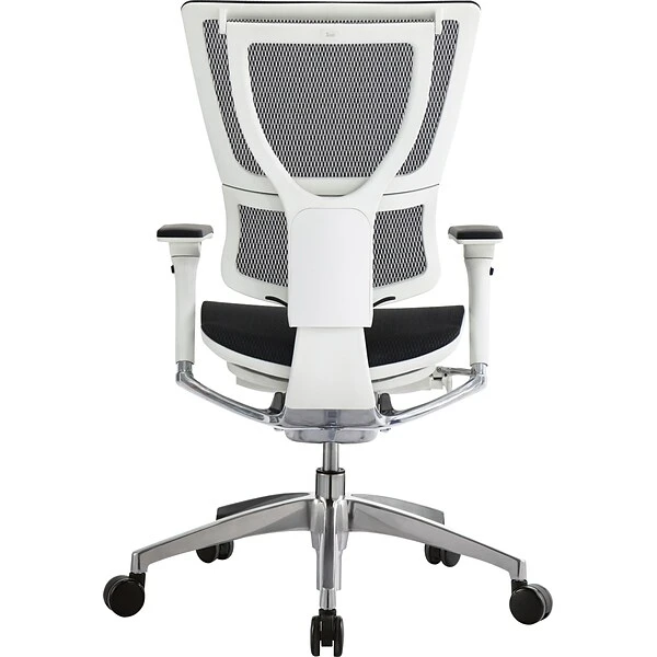 Raynor Eurotech IOO Series Mid-Back Managers Chair, Mesh, Black With White Frame