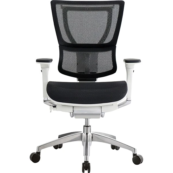 Raynor Eurotech IOO Series Mid-Back Managers Chair, Mesh, Black With White Frame - Image 2