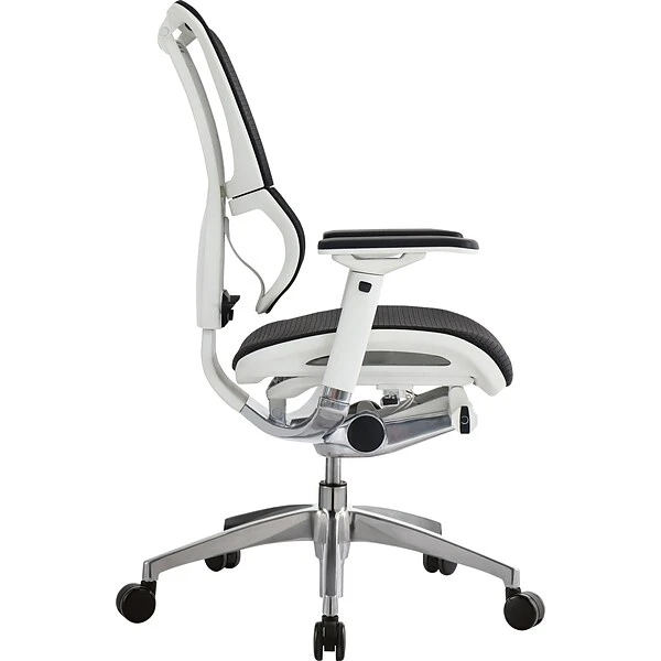 Raynor Eurotech IOO Series Mid-Back Managers Chair, Mesh, Black With White Frame - Image 3