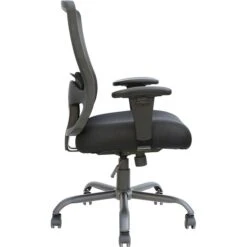 Raynor Marketing Eurotech Plastic/Poly Computer & Desk Big & Tall Chair, Black (BT-350)