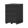 Thomasville Furniture Latimer 2-Drawer Vertical File Cabinet, Pedestal, Burnt Ash, 20.8"D (SPLS-LADF-TV)