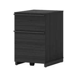 Thomasville Furniture Latimer 2-Drawer Vertical File Cabinet, Pedestal, Burnt Ash, 20.8"D (SPLS-LADF-TV)